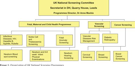 Figure From Antenatal Screening The Uk Nhs Antenatal Screening