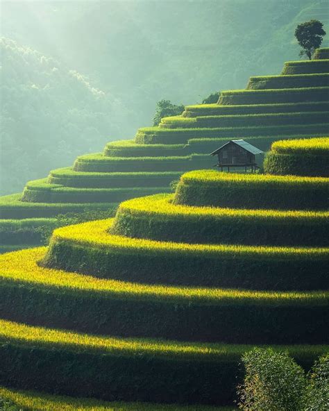 The terrace farms of Munnar, India : r/MostBeautiful