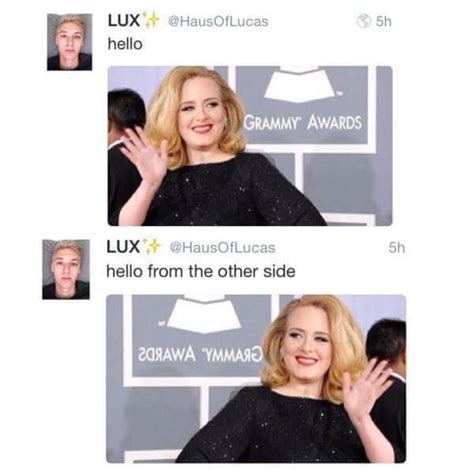 28 Adele Hello Meme Pictures Because You Really Didn't Hear That Song ...