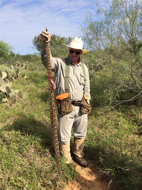 Wild Bobwhites and Huge Rattlers in South Texas – Gordie White Worldwide Safaris