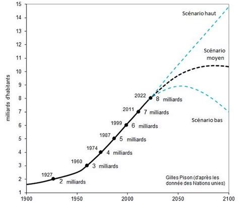 Ca Population 2024 Projection Brena Gusella