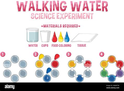 Walking Water Science Experiment Illustration Stock Vector Image And Art