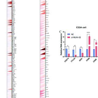 MLK4 MRNA Expression Is Related To Immune Checkpoint Gene Expression