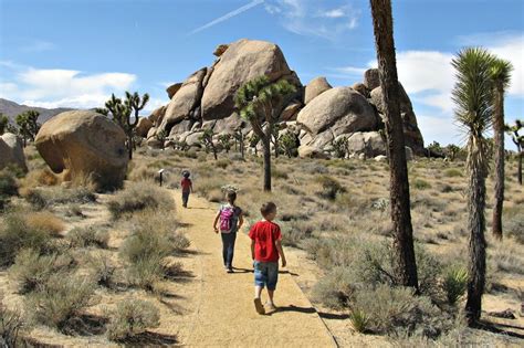 Joshua Tree 12 Best Things To Do With Kids Joshua Tree National Park