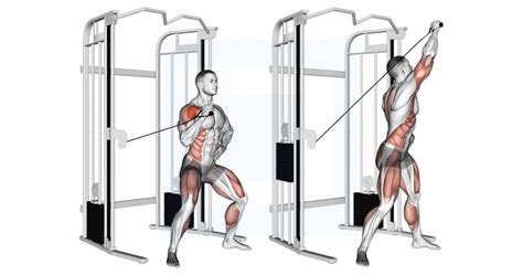 Dumbbell Standing Overhead Press Guide Benefits And Form