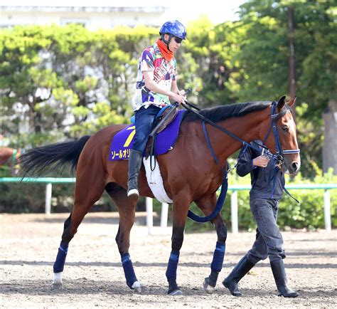 【日本ダービー】ソールオリエンス2冠へこん身仕上げ 陣営「これで負けたら相手を褒めるしかない」 Umatoku 馬トク