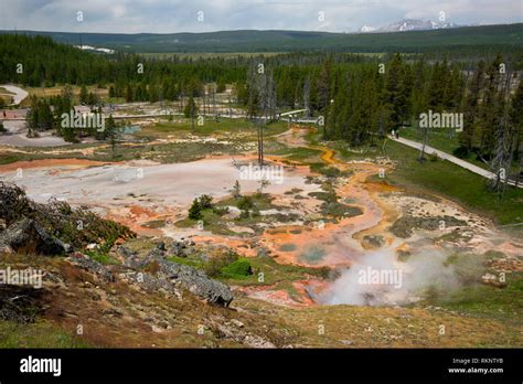 WYOMING Steam From Blood Geyser At Artist Paint Pots Thermal Area In