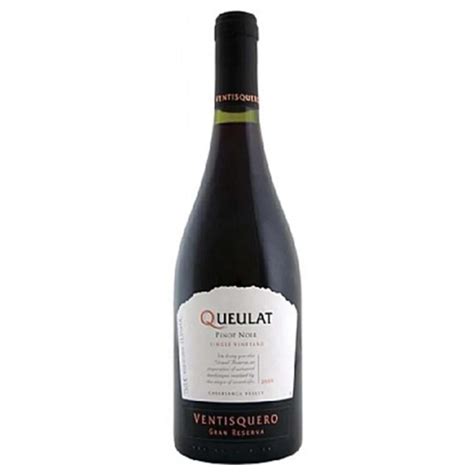 Ventisquero Gran Reserva Queulat Pinot Noir Winecastle