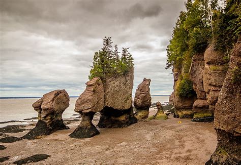 What And Where Are The Hopewell Rocks Worldatlas