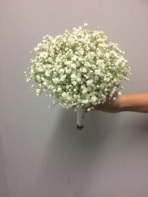 Gypsophila Bouquet Buy Online Or Call 056 77 62585