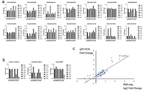 Consistency Results Of Qrt Pcr And Rna Seq A Expression Of Mrnas In