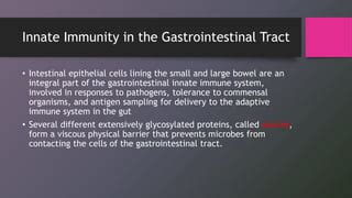 Immunity In The Gastrointestinal System Ppt