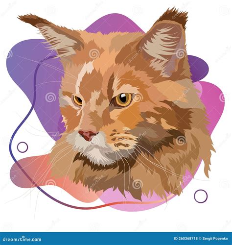 Maine Coon Vector Illustration On A Colored Background Portrait