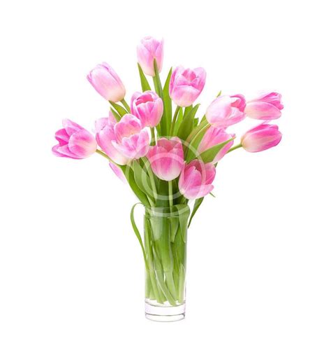 Pink Tulip Bouquet – Ina J designs