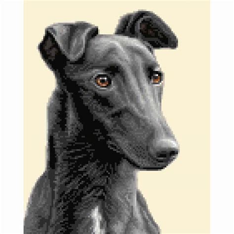 Black Greyhound GRH 6 Jann Designs