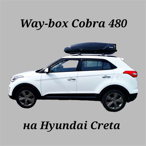 Багажный бокс Way-box Cobracreta_черный - купить по доступным ценам в ...