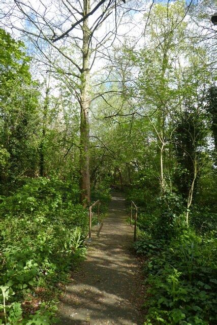 Path In The Woods Near Heslington Church Ds Pugh Geograph Britain