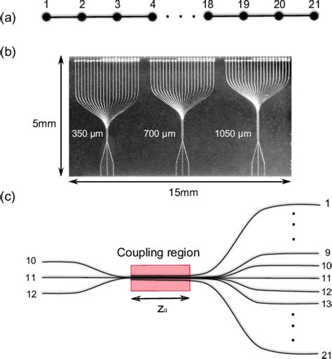 Figure From Coherent Time Evolution And Boundary Conditions Of Two