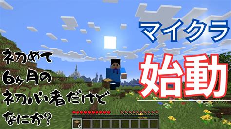 【マイクラ実況】初心者が始めるマイクラ実況でそこそこ良いシードを引いた【初心者おっさん】1 マイクラ（minecraft）動画まとめ