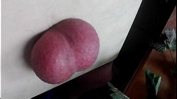 Nettle XVIDEOS