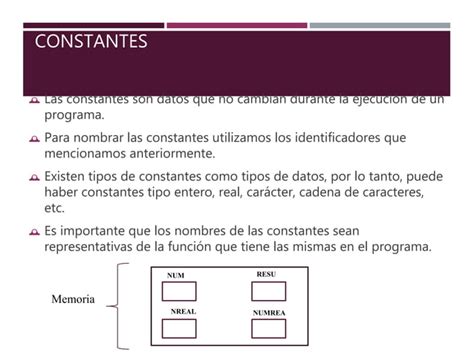 Tipos De Datos Identificadores Variables Y Constantes