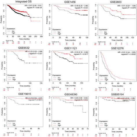 Validation Of Prognostic Implications Of CCL19 Expression For OS In