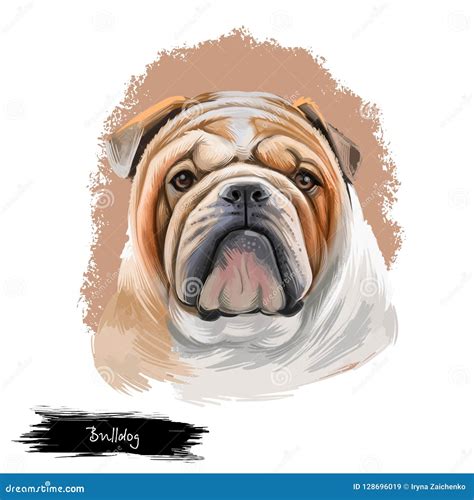 Bulldog Cartoon Illustration Stock Images - Download 11 Royalty Free Photos