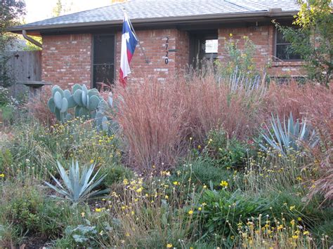 Plano Prairie Garden: Grasses on the Prairie