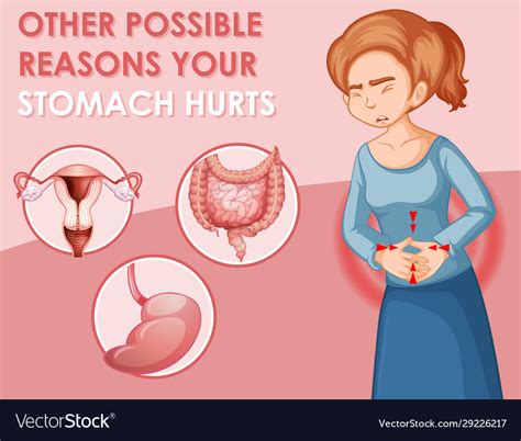 Diagram Showing Different Stomach Hurts In Woman Vector Image