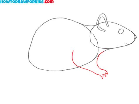 How To Draw A Rat Easy Drawing Tutorial For Kids