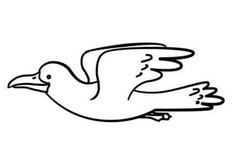 Cartoon Seagull Coloring Pages Coloring Cool