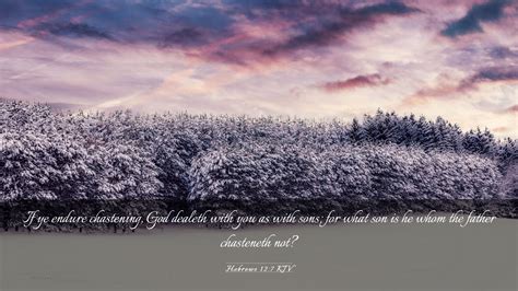 Hebrews 12:7 KJV Desktop Wallpaper - If ye endure chastening, God dealeth with you as