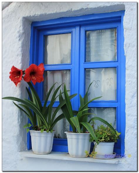 Solve Ventana Azul Con Flores Jigsaw Puzzle Online With Pieces