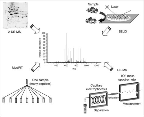 Schematic Representation Of Proteomic Technologies High Resolution