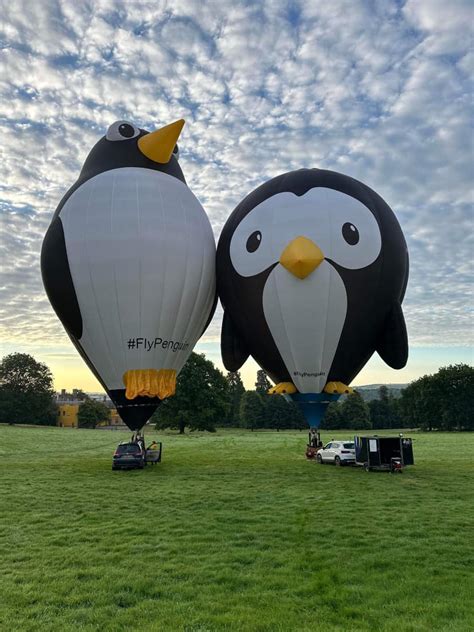 50th Balloon Fest: ‘More special shapes than ever’ | Glens Falls Chronicle