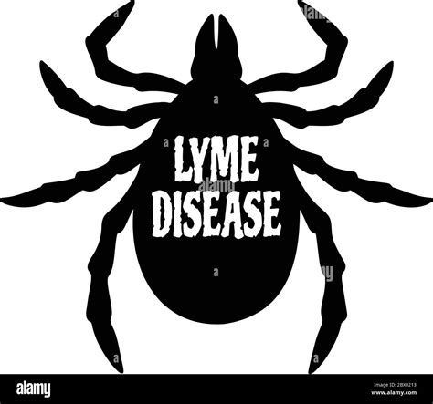 Lyme Disease Bullseye Stock Vector Images Alamy