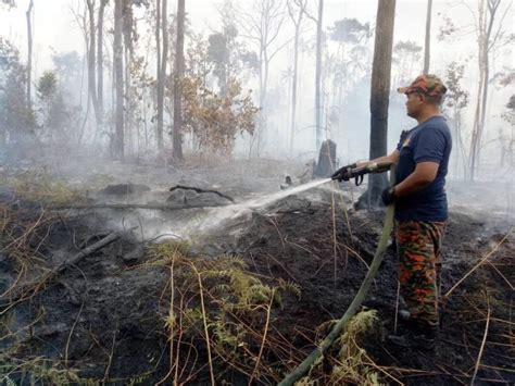 Korek Parit Meter Halang Api Merebak Fikrah Pahang