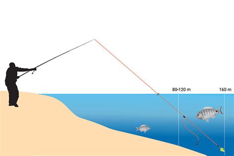 Conseils De Pêche En Mer Blog Pacific Pêche