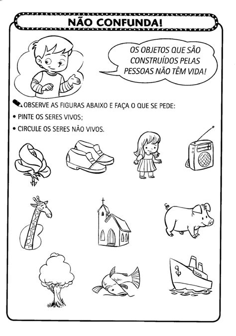 Seres Vivos E Nao Vivos 1 Ano