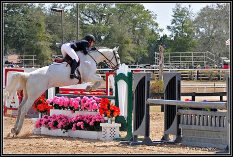 Ocala, Central Florida & Beyond: HITS - Ocala Winter Circuit