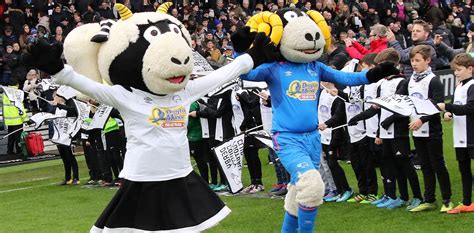 Rammie And Ewie Derby County