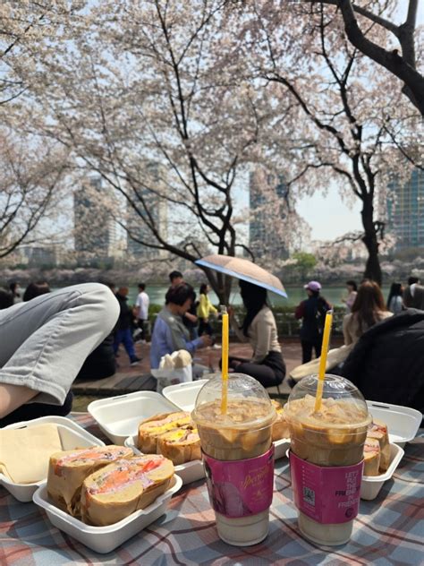 잠실 석촌호수 벚꽃축제 서울 벚꽃명소 실시간 개화 상황 네이버 블로그