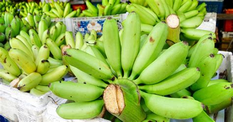 How To Cook Jamaican Boiled Green Banana Livestrongcom