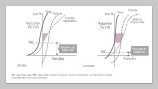 Fisiologia Respiratoria Pptx