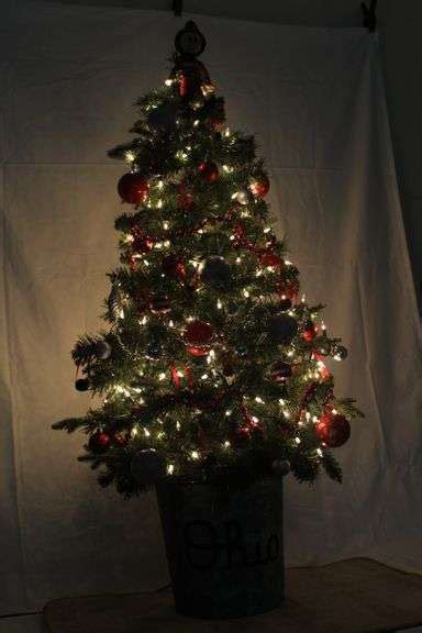 THE Ohio State Christmas Tree - Breeders World