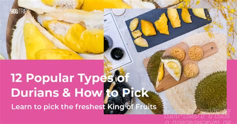 Types Of Durians And How To Pick The Best Durian Blog Youtrip