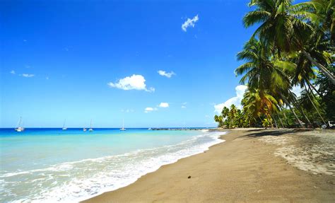 The Best Beaches in Martinique