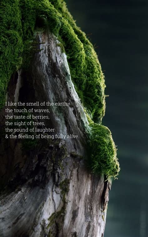 Pin By Sherry J Shaverdi On Forest Love In Journey Quotes Good