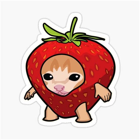 Strawberry Cat Meme Sticker For Sale By Rzera Redbubble