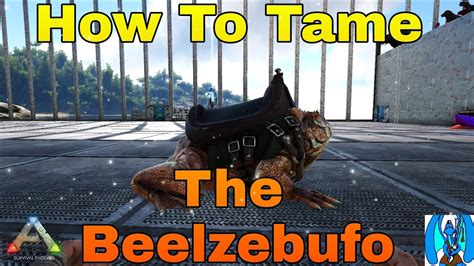 Ark Survival Evolved How To Tame The Beelzebufo Youtube